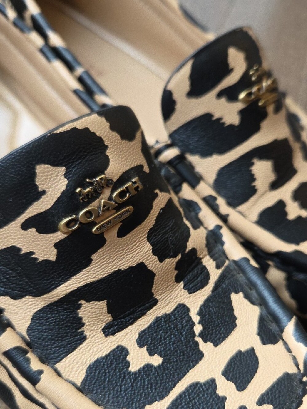 COACH Leopard-Print Leather Driving Loafers in Black and Beige - Picture 10 of 16